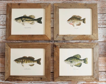 4 PRINTS, Largemouth Bass, Smallmouth Bass, Bluegill, and Black Crappie, 4 fish prints, 8x10 or 11x14, fish, fishing