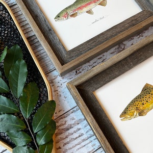 2 PRINTS, Rainbow Trout and Brown Trout, 2 fish prints, 8x10 or 11x14, fly fishing, Father's Day image 8