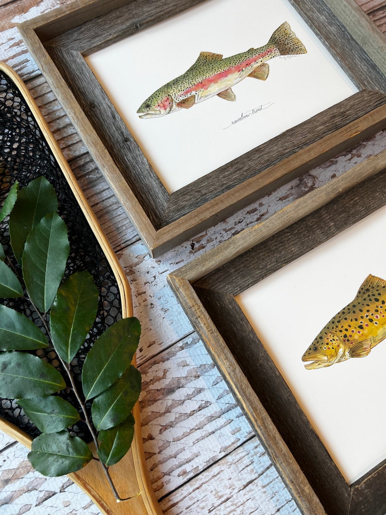 2 PRINTS, Rainbow Trout and Brown Trout, 2 fish prints, 8x10 or 11x14, fly fishing, Father's Day image 8