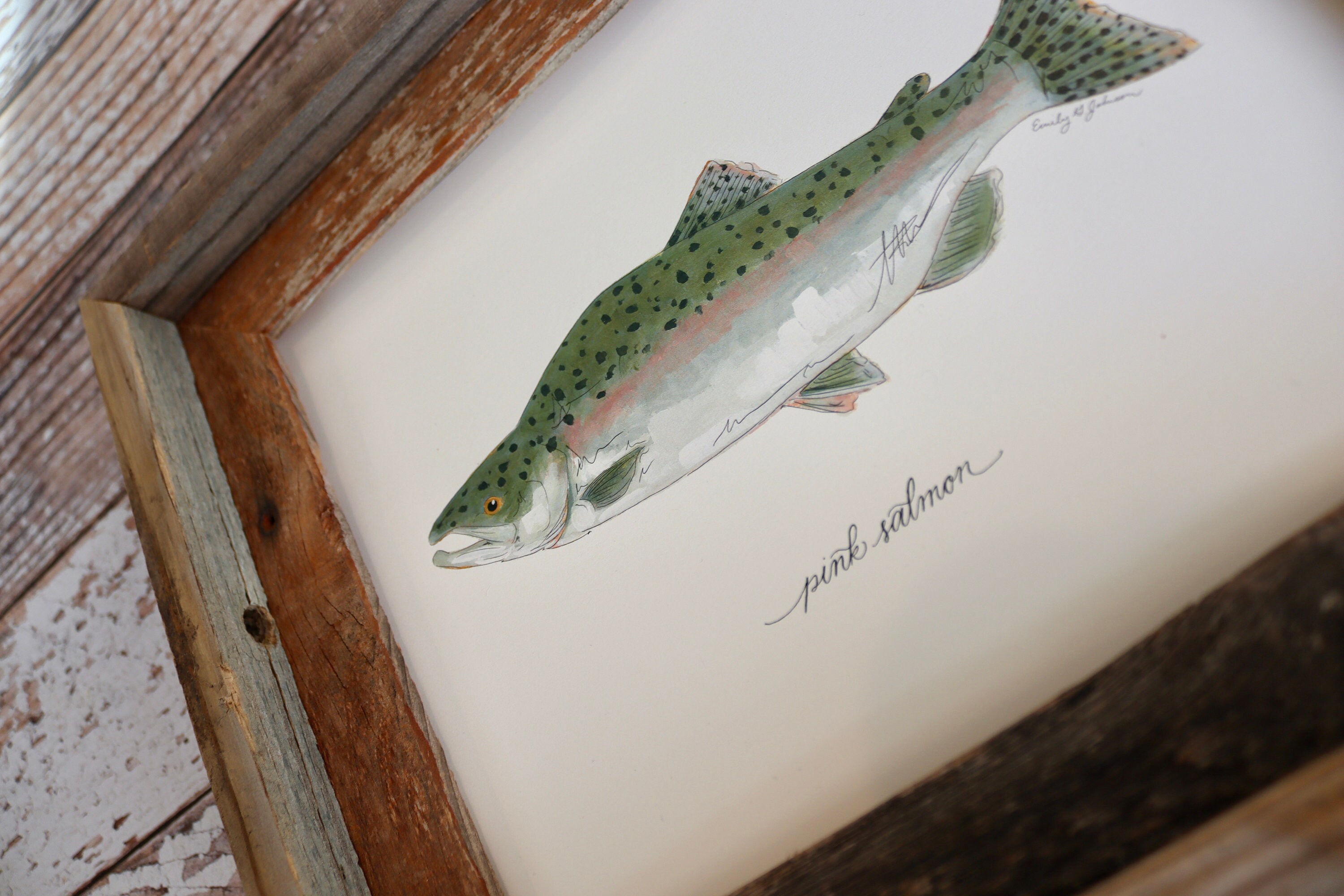 Pink Salmon Humpie Humpy Salmon Salmon Fishing Fish Art - Etsy