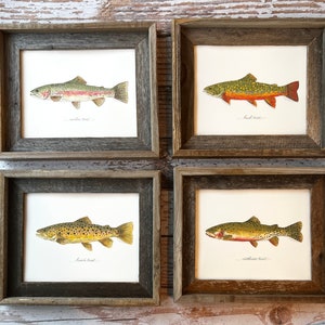 4 PRINTS, Cutthroat Trout, Brook Trout, Brown Trout and Rainbow Trout, fish art, 8x10 or 11x14, fly fishing