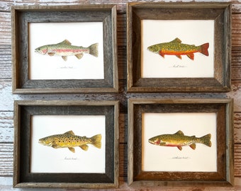 4 PRINTS, Cutthroat Trout, Brook Trout, Brown Trout and Rainbow Trout, fish art, 8x10 or 11x14, fly fishing