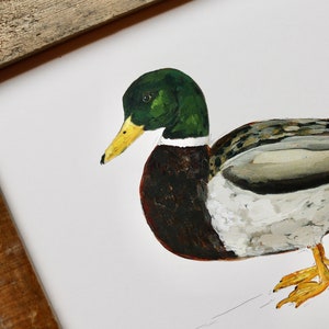 Impression d'art de canard colvert, oeuvre de Drake, art de la sauvagine, peinture de canard, chasse au canard 20 x 10 pouces image 2