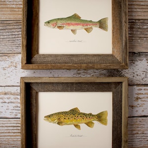 2 PRINTS, Rainbow Trout and Brown Trout, 2 fish prints, 8x10 or 11x14, fly fishing, Father's Day image 10