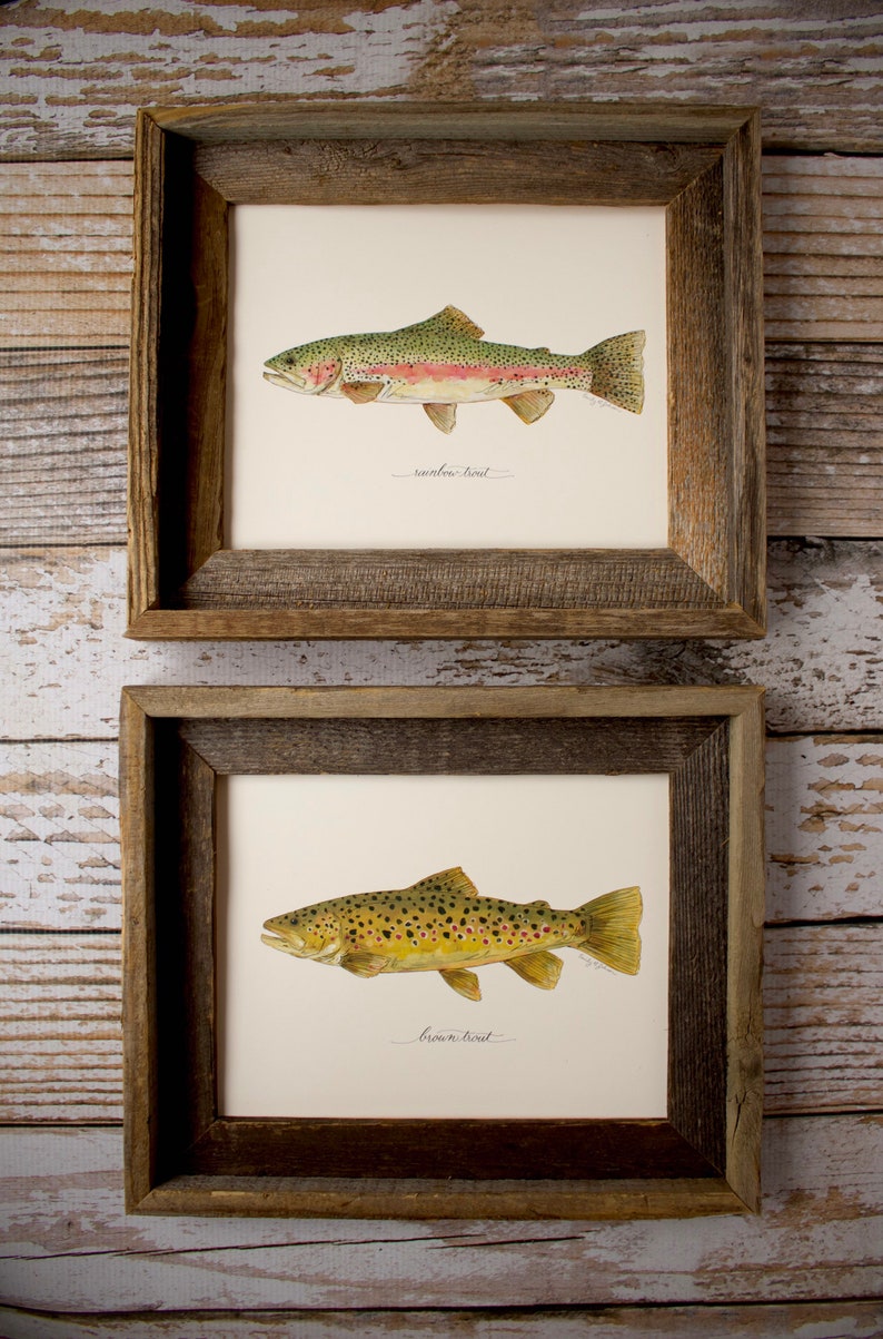 2 PRINTS, Rainbow Trout and Brown Trout, 2 fish prints, 8x10 or 11x14, fly fishing, Father's Day image 10