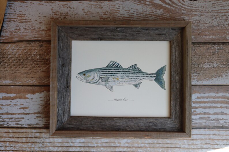 Fly Fishing 8x10 Lake Art Painting Fisherman Saltwater Christmas Present Fish Freshwater 11x14 Print STRIPED BASS Fishing