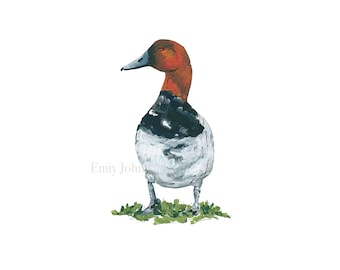 Canvasback Art Print | Duck Hunter Artwork | Waterfowl Wall Art | Duck Painting | Duck Hunting