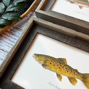 2 PRINTS, Rainbow Trout and Brown Trout, 2 fish prints, 8x10 or 11x14, fly fishing, Father's Day image 2