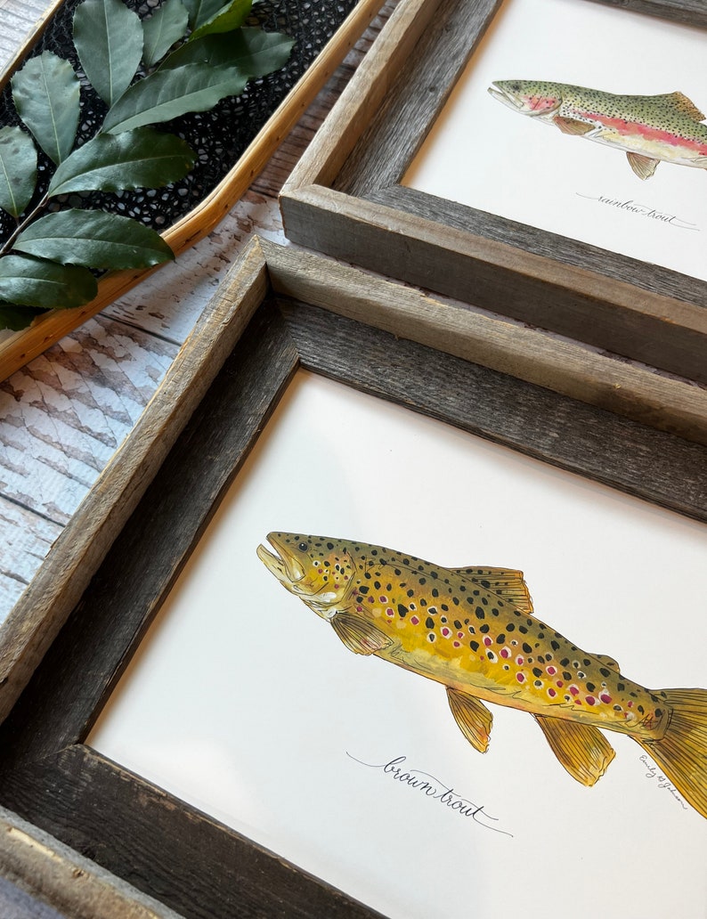 2 PRINTS, Rainbow Trout and Brown Trout, 2 fish prints, 8x10 or 11x14, fly fishing, Father's Day image 2