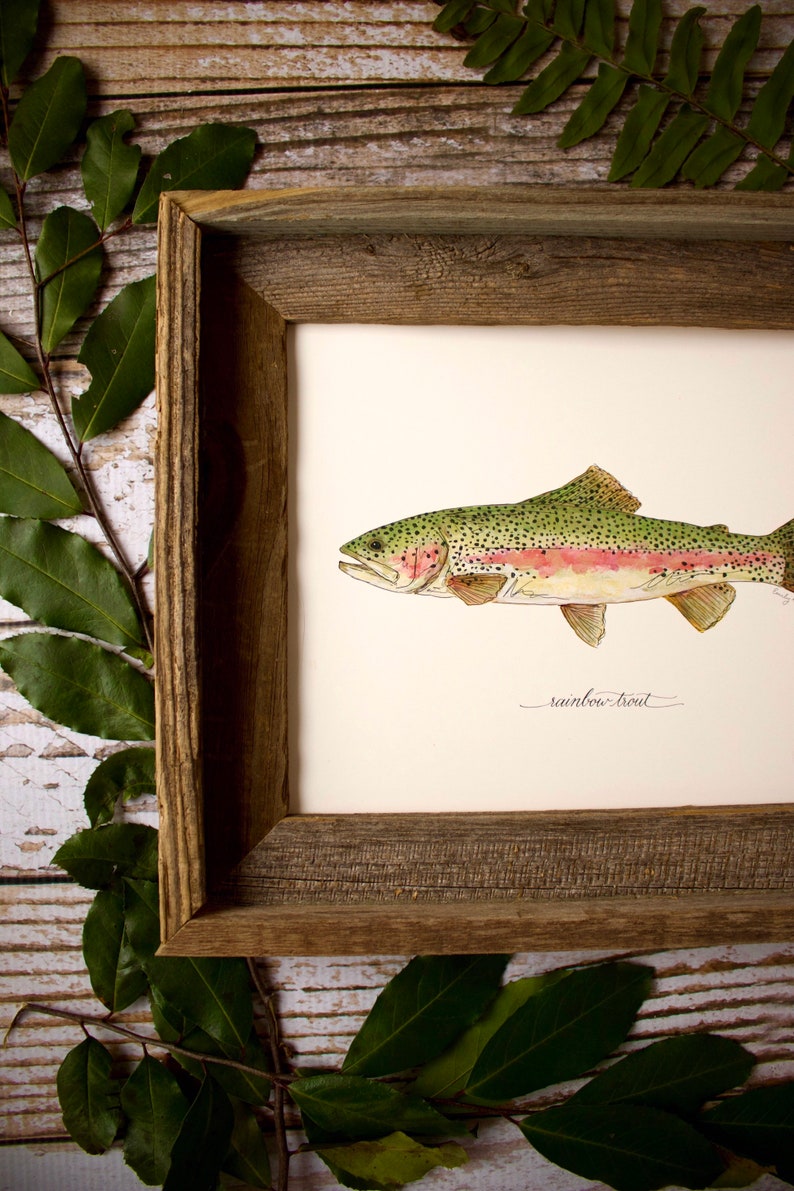 RAINBOW TROUT, Fish, Freshwater fish, fish painting, trout painting, fly fishing, 8x10, 11x14, art print image 8