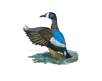Blue-Winged Teal Art Print | Duck Painting | Waterfowl Artwork