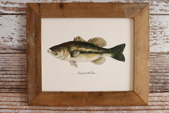 LARGEMOUTH BASS, Art Print, 8x10, 11x14, Fish, Fishing, Fisherman