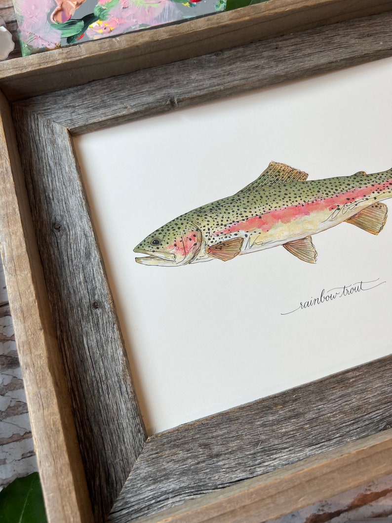 RAINBOW TROUT, Fish, Freshwater fish, fish painting, trout painting, fly fishing, 8x10, 11x14, art print image 2