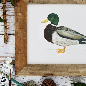 Impression d'art de canard colvert, oeuvre de Drake, art de la sauvagine, peinture de canard, chasse au canard 20 x 10 pouces image 3