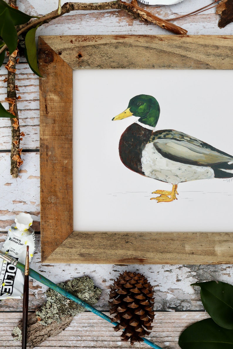 Impression d'art de canard colvert, oeuvre de Drake, art de la sauvagine, peinture de canard, chasse au canard 20 x 10 pouces image 3