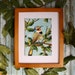 see more listings in the Backyard Birds & Owls section