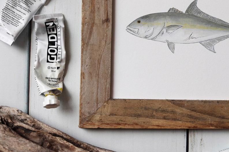 AMBERJACK, Fisch Art Painting, Salzwasserfischen, Ocean Art, 8x10, 11x14, Kunstdruck Bild 2