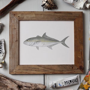 AMBERJACK, Fisch Art Painting, Salzwasserfischen, Ocean Art, 8x10, 11x14, Kunstdruck Bild 1