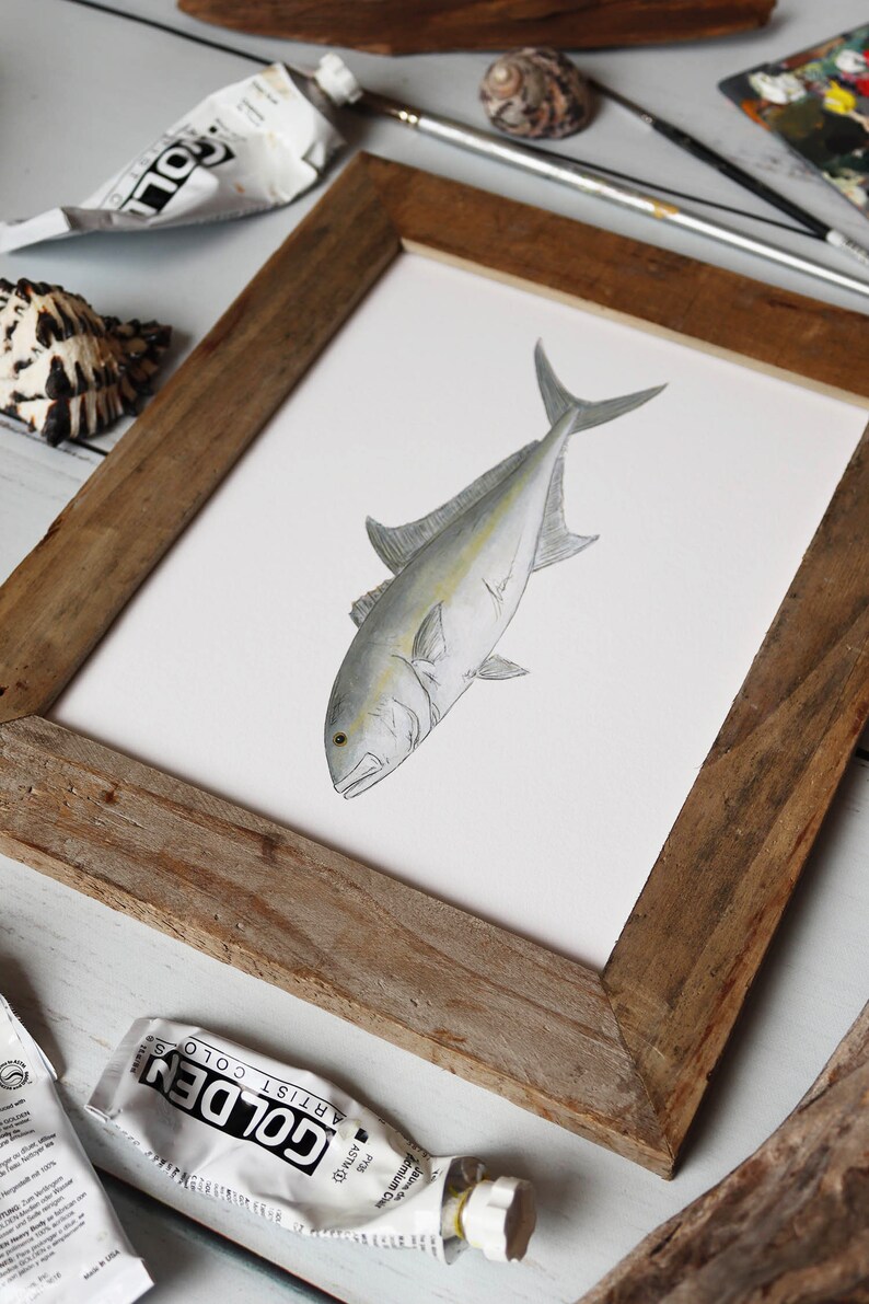 AMBERJACK, Fisch Art Painting, Salzwasserfischen, Ocean Art, 8x10, 11x14, Kunstdruck Bild 8