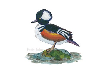 Hooded Merganser Art Print | Duck Hunter Artwork | Waterfowl Wall Art | Duck Painting | Duck Hunting