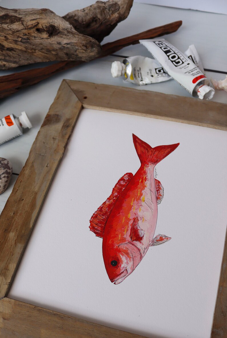 VERMILION SNAPPER, BEELINER, Fish Art Painting, Saltwater Fishing, Ocean Art, Deep Sea Fishing, art print image 3