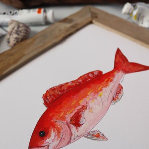 VERMILION SNAPPER, BEELINER, Fish Art Painting, Saltwater Fishing, Ocean Art, Deep Sea Fishing, art print image 8