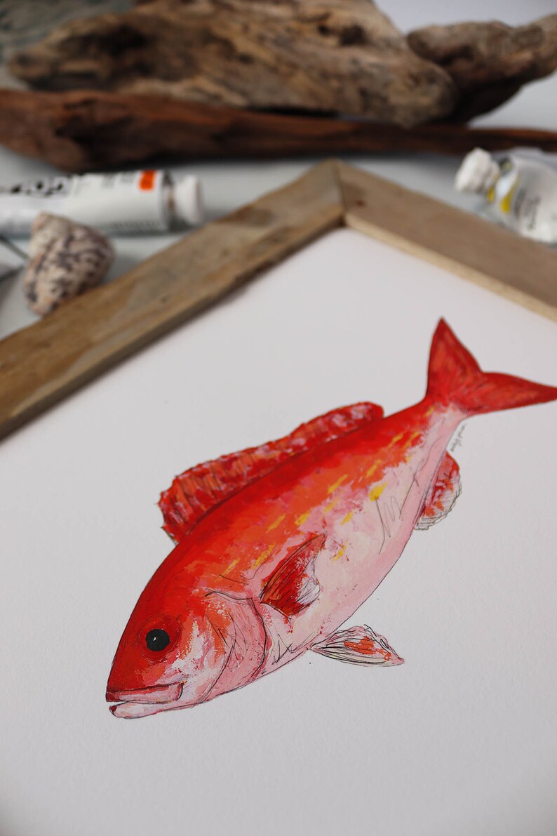 VERMILION SNAPPER, BEELINER, Fish Art Painting, Saltwater Fishing, Ocean Art, Deep Sea Fishing, art print image 8