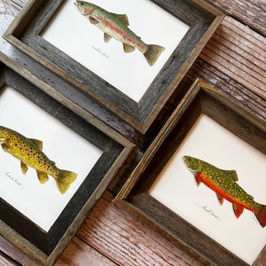 3 PRINTS, YOU CHOOSE, trout, bass, 8x10 or 11x14, fishing, Father's Day Gift