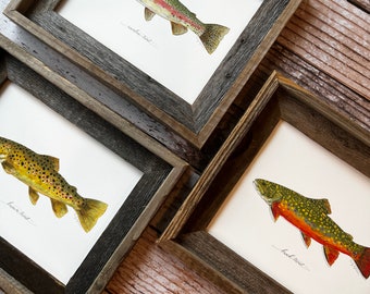 3 PRINTS, YOU CHOOSE, trout, bass, 8x10 or 11x14, fishing, Father's Day Gift