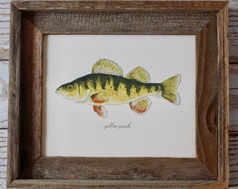 Yellow Perch, American Perch, Striped Perch, Fishing, Freshwater Fish, Lake, Fisherman, Father's Day, Art Painting, Print , 8x10, 11x14