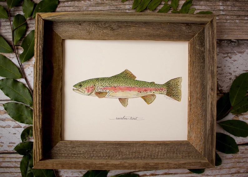 RAINBOW TROUT, Fish, Freshwater fish, fish painting, trout painting, fly fishing, 8x10, 11x14, art print image 7