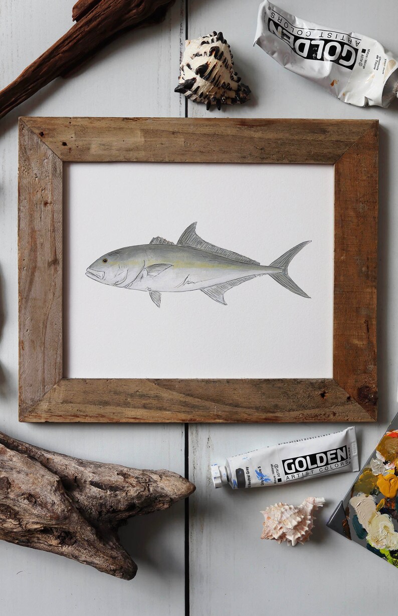 AMBERJACK, Fisch Art Painting, Salzwasserfischen, Ocean Art, 8x10, 11x14, Kunstdruck Bild 5