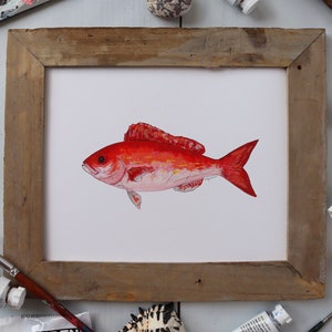 VERMILION SNAPPER, BEELINER, Fish Art Painting, Saltwater Fishing, Ocean Art, Deep Sea Fishing, art print image 1