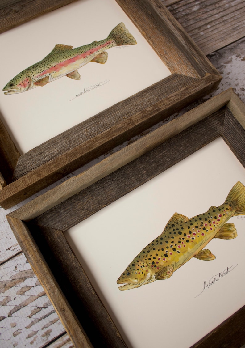 2 PRINTS, Rainbow Trout and Brown Trout, 2 fish prints, 8x10 or 11x14, fly fishing, Father's Day image 4