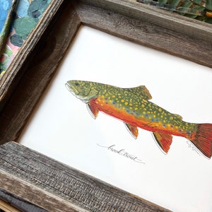 Omble de fontaine, poisson, poisson d'eau douce, peinture de poisson, peinture de truite, pêche à la mouche, 8 x 10, 11 x 14, impression d'art