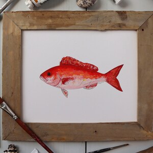 VERMILION SNAPPER, BEELINER, Fish Art Painting, Saltwater Fishing, Ocean Art, Deep Sea Fishing, art print image 4