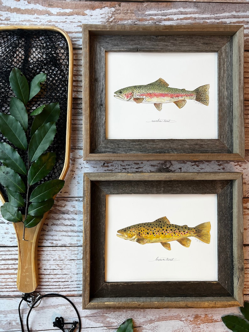 2 PRINTS, Rainbow Trout and Brown Trout, 2 fish prints, 8x10 or 11x14, fly fishing, Father's Day image 3