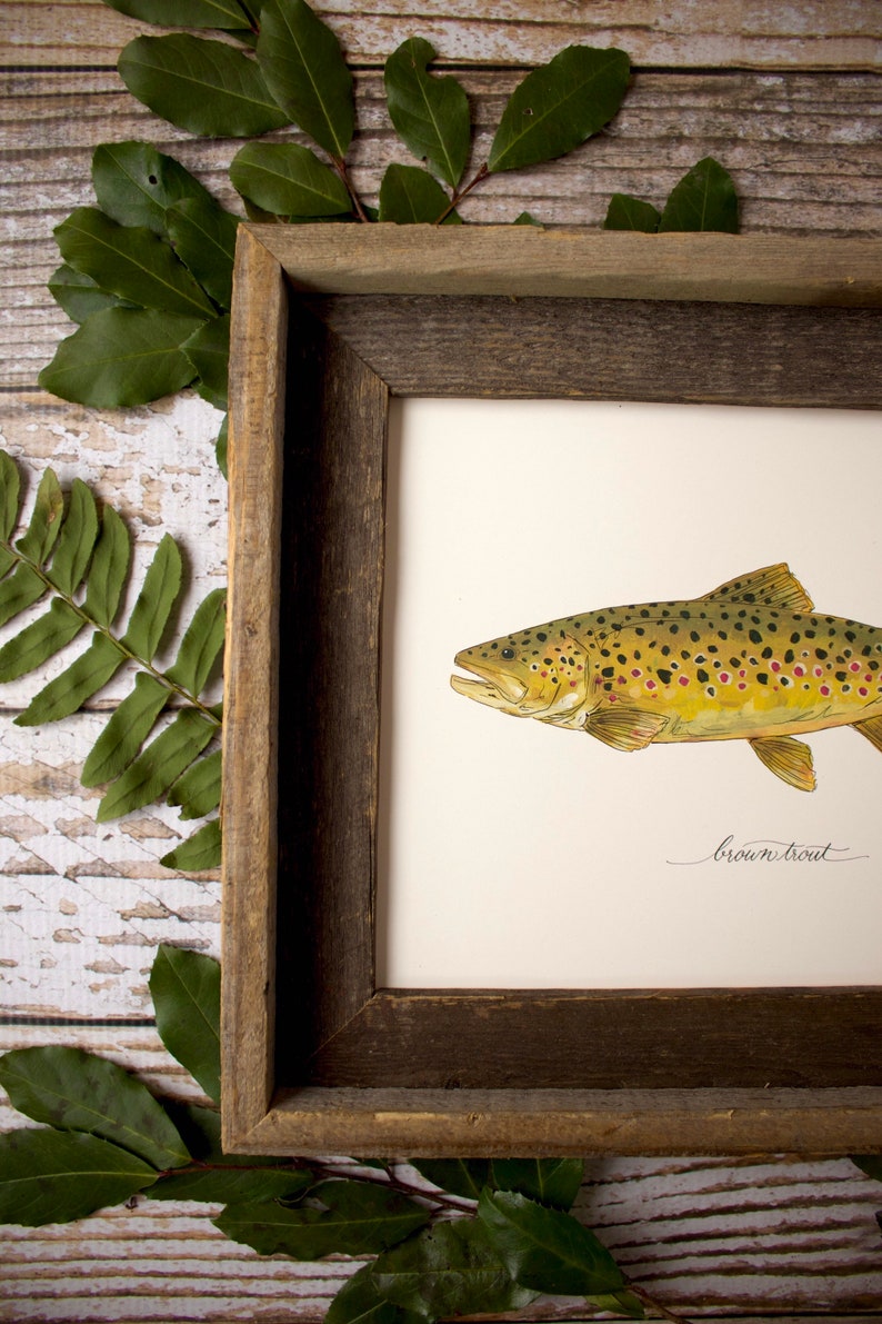 2 PRINTS, Rainbow Trout and Brown Trout, 2 fish prints, 8x10 or 11x14, fly fishing, Father's Day image 5