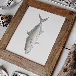 AMBERJACK, Fisch Art Painting, Salzwasserfischen, Ocean Art, 8x10, 11x14, Kunstdruck Bild 4