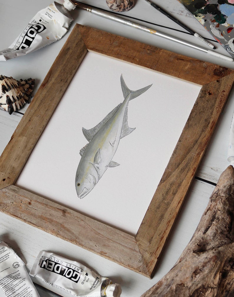 AMBERJACK, Fisch Art Painting, Salzwasserfischen, Ocean Art, 8x10, 11x14, Kunstdruck Bild 4