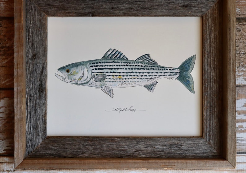 Fly Fishing 8x10 Lake Art Painting Fisherman Saltwater Christmas Present Fish Freshwater 11x14 Print STRIPED BASS Fishing