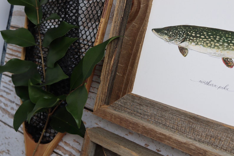 May include: A framed print of a northern pike fish, with a rustic wooden frame. The fish is depicted in detail with green and white spots. Green leaves and a fishing net are visible in the background.
