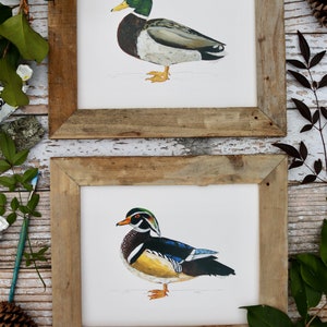 Impression d'art de canard colvert, oeuvre de Drake, art de la sauvagine, peinture de canard, chasse au canard 20 x 10 pouces image 5