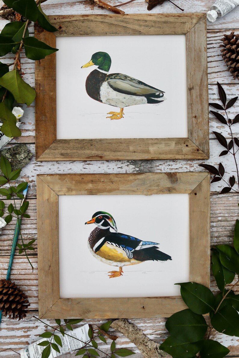 Impression d'art de canard colvert, oeuvre de Drake, art de la sauvagine, peinture de canard, chasse au canard 20 x 10 pouces image 5