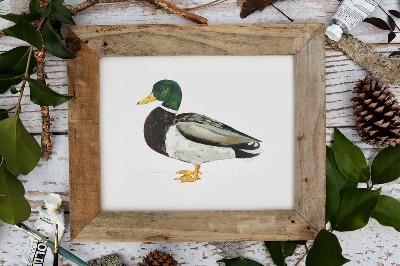 Impression d'art de canard colvert, oeuvre de Drake, art de la sauvagine, peinture de canard, chasse au canard 20 x 10 pouces image 4