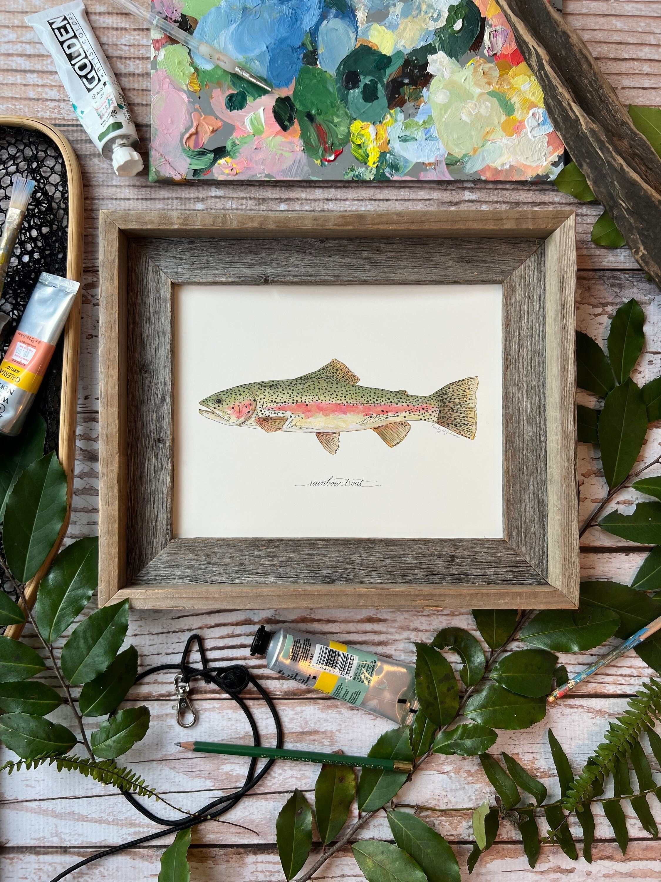Rainbow Trout Fly Fishing Fish Shadow Box Framed Man Cave Cabin