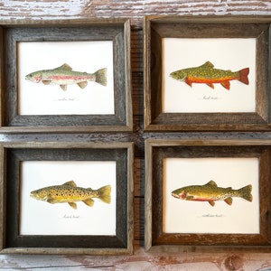 6 PRINTS, You Pick - Any Fish, fish art, 8x10 or 11x14, fly fishing, fishing art