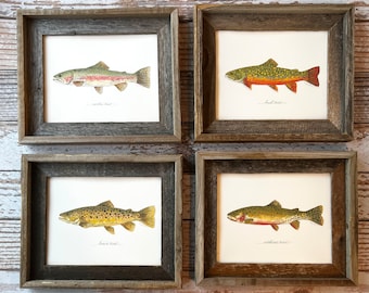 6 PRINTS, You Pick - Any Fish, fish art, 8x10 or 11x14, fly fishing, fishing art