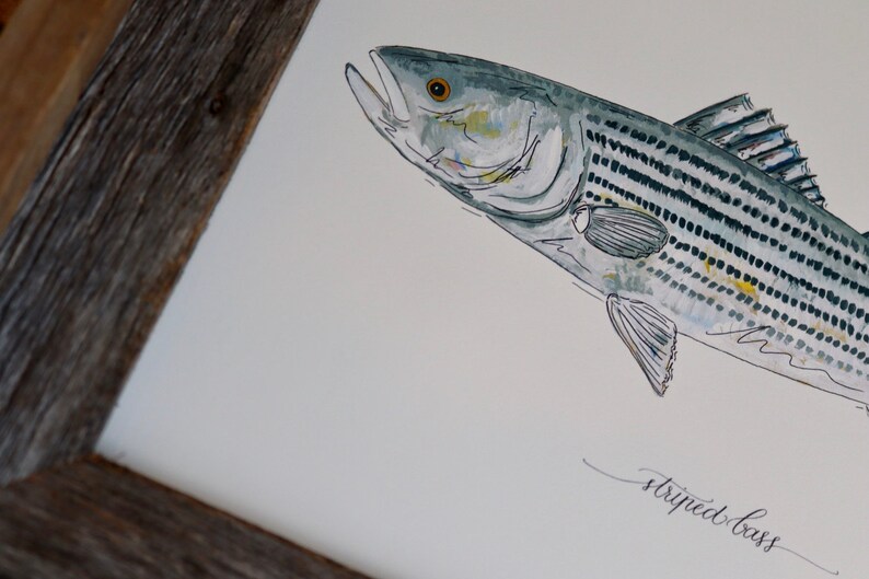 Fly Fishing 8x10 Lake Art Painting Fisherman Saltwater Christmas Present Fish Freshwater 11x14 Print STRIPED BASS Fishing