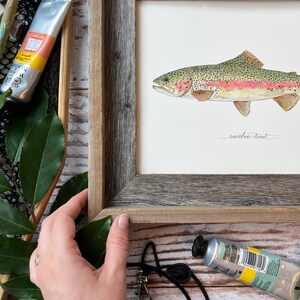 RAINBOW TROUT, Fish, Freshwater fish, fish painting, trout painting, fly fishing, 8x10, 11x14, art print image 3